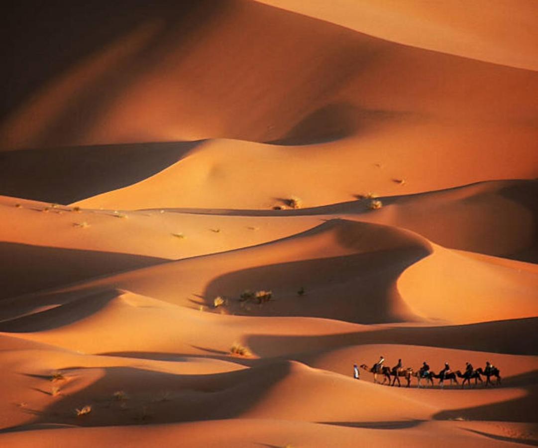 Desert Paradise Luxury Camp 梅尔祖卡 外观 照片
