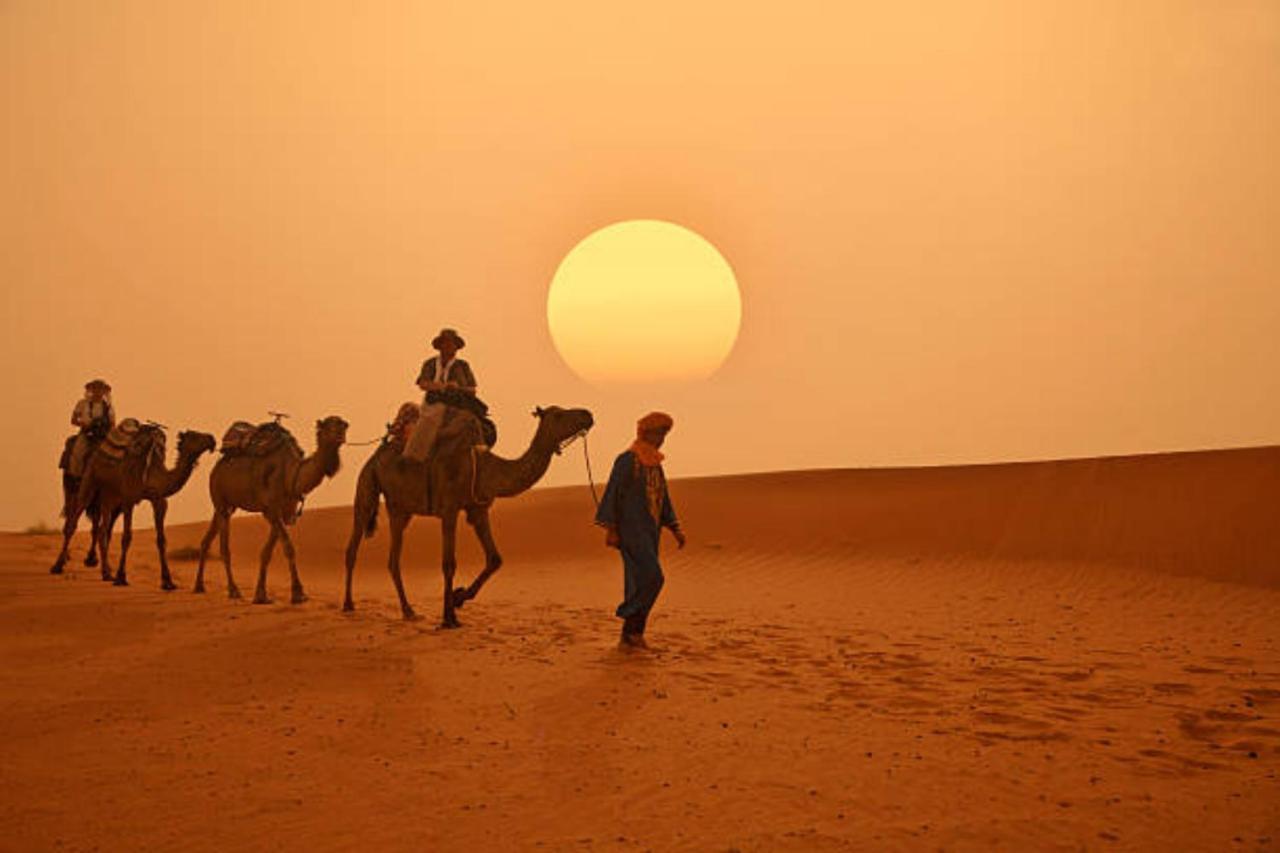 Desert Paradise Luxury Camp 梅尔祖卡 外观 照片
