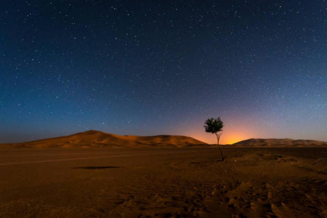Desert Paradise Luxury Camp 梅尔祖卡 外观 照片