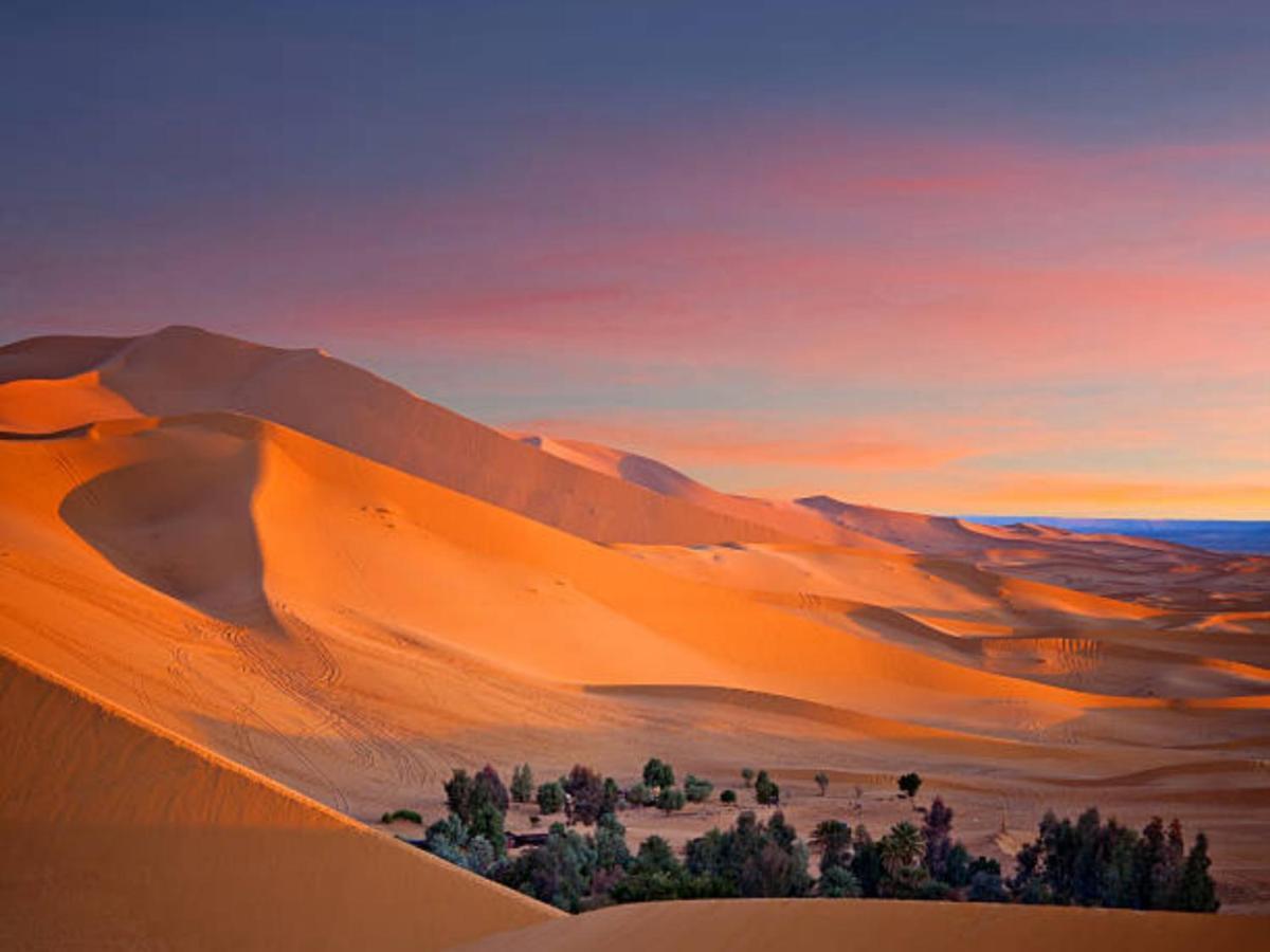 Desert Paradise Luxury Camp 梅尔祖卡 外观 照片