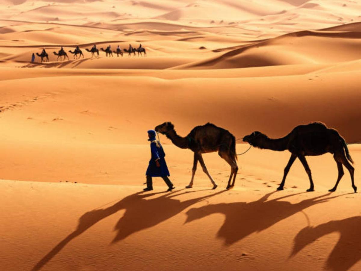 Desert Paradise Luxury Camp 梅尔祖卡 外观 照片