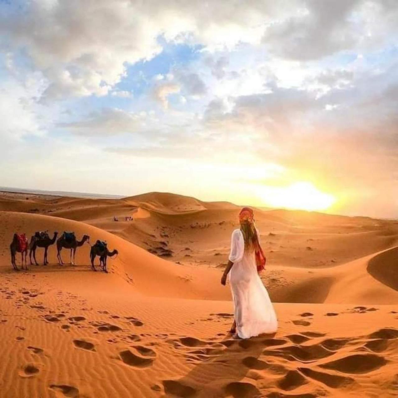 Desert Paradise Luxury Camp 梅尔祖卡 外观 照片