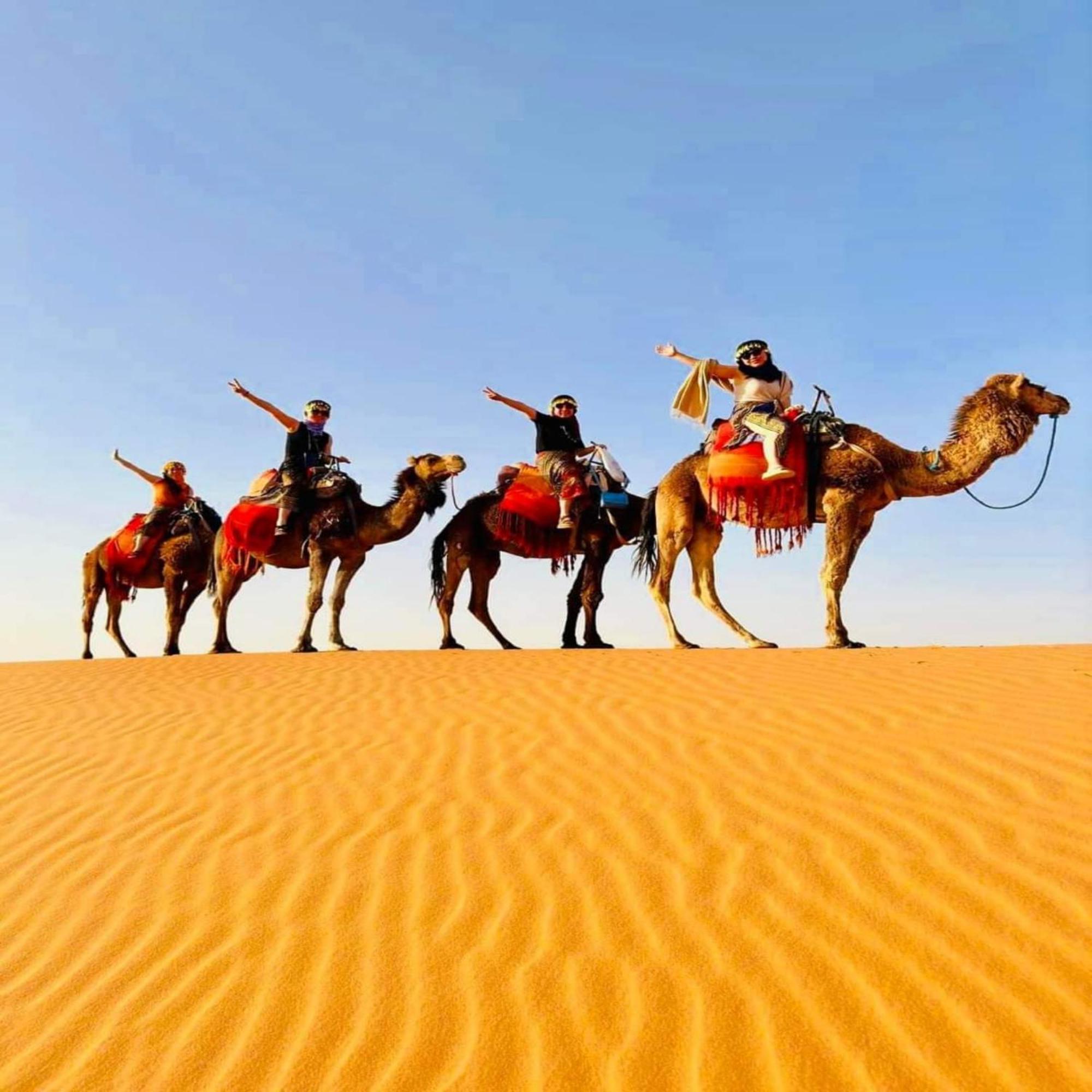 Desert Paradise Luxury Camp 梅尔祖卡 外观 照片