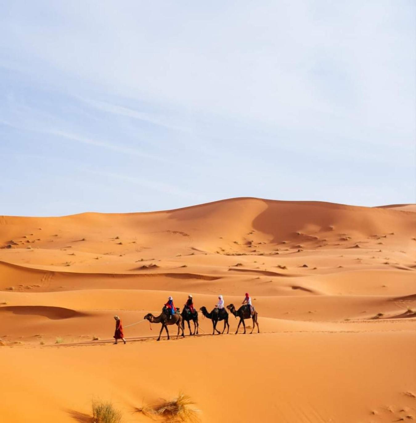 Desert Paradise Luxury Camp 梅尔祖卡 外观 照片