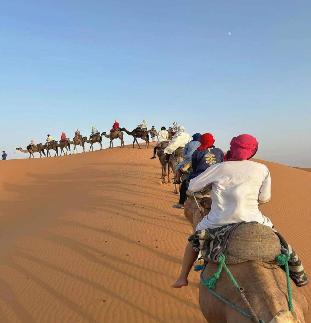 Desert Paradise Luxury Camp 梅尔祖卡 外观 照片
